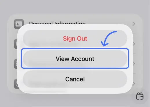 انتخاب گزینه View Account