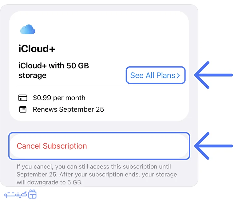 تغییر پلن یا لغو اشتراک ایکلود: گزینه‌های See All Plans و Cancel Subscription در صفحه اشتراک iCloud+