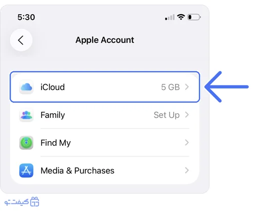 انتخاب گزینه iCloud در صفحه Apple Account آیفون، با فضای فعلی ۵ گیگابایت رایگان
