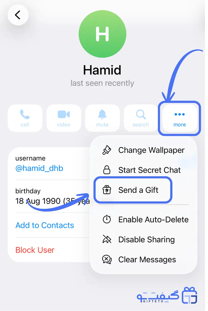 انتخاب گزینه Send a Gift از منوی More در پروفایل تلگرام